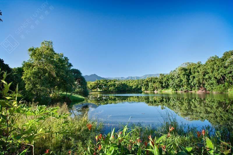 夏威夷考艾岛(可爱岛)静湾别墅自然景观