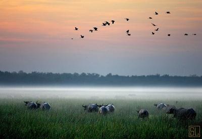 Bamurru Plains - Photo 26