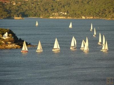 Sydney Villa 500 - Photo 18