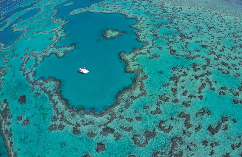 Reef View Suite - Photo 14