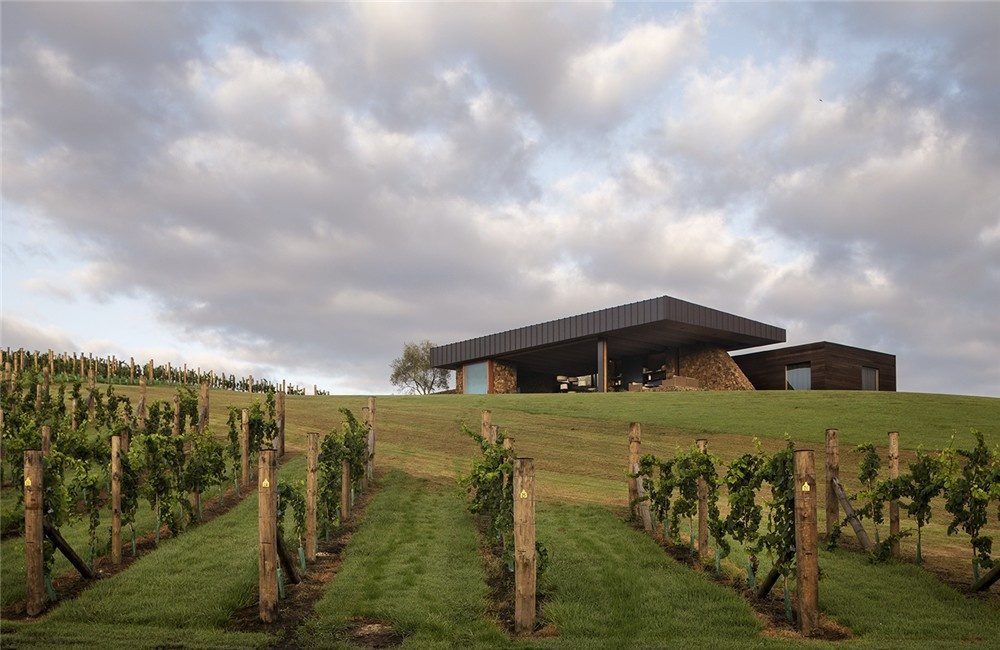 Vineyard Villa - Photo 2