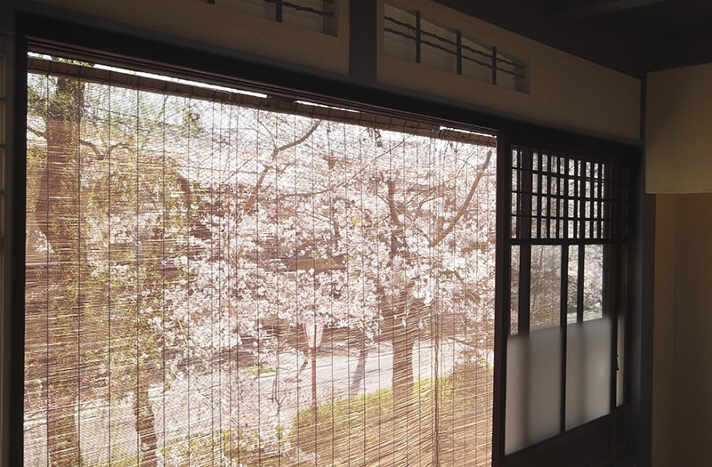 TAKASEGAWA - Photo 2