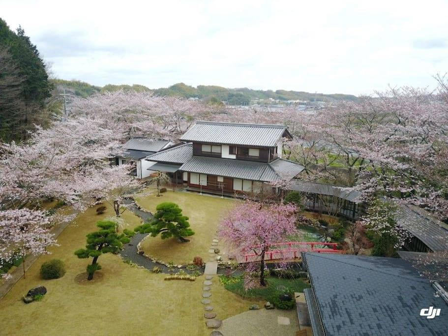 Oukai Villa - Photo 2