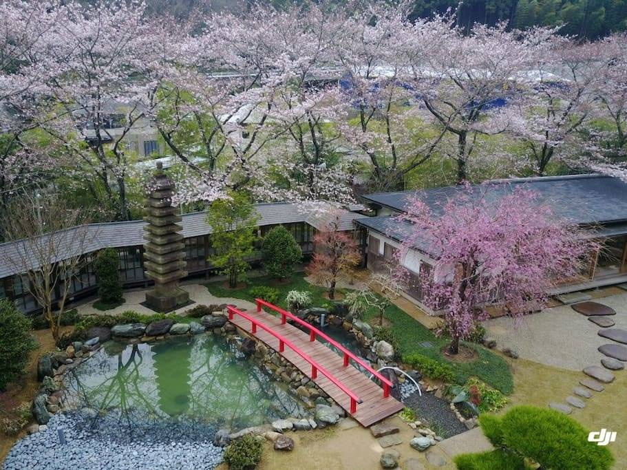 Oukai Villa - Photo 10