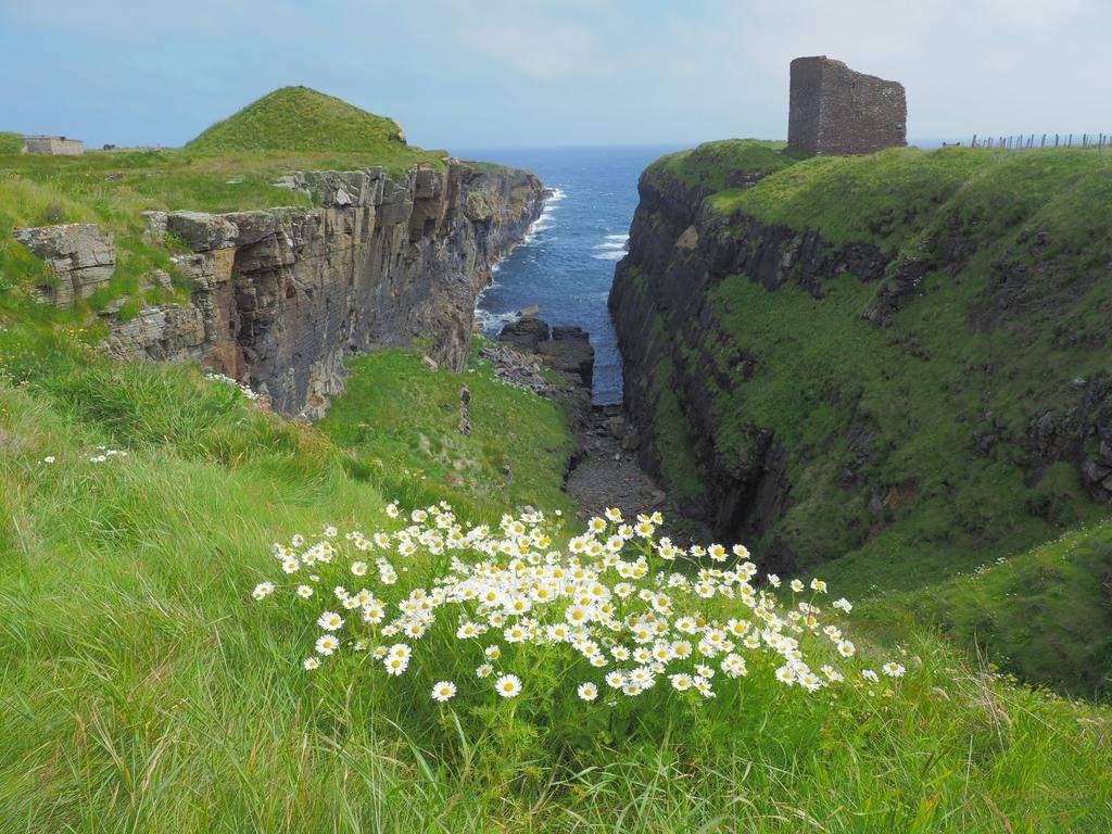 风景