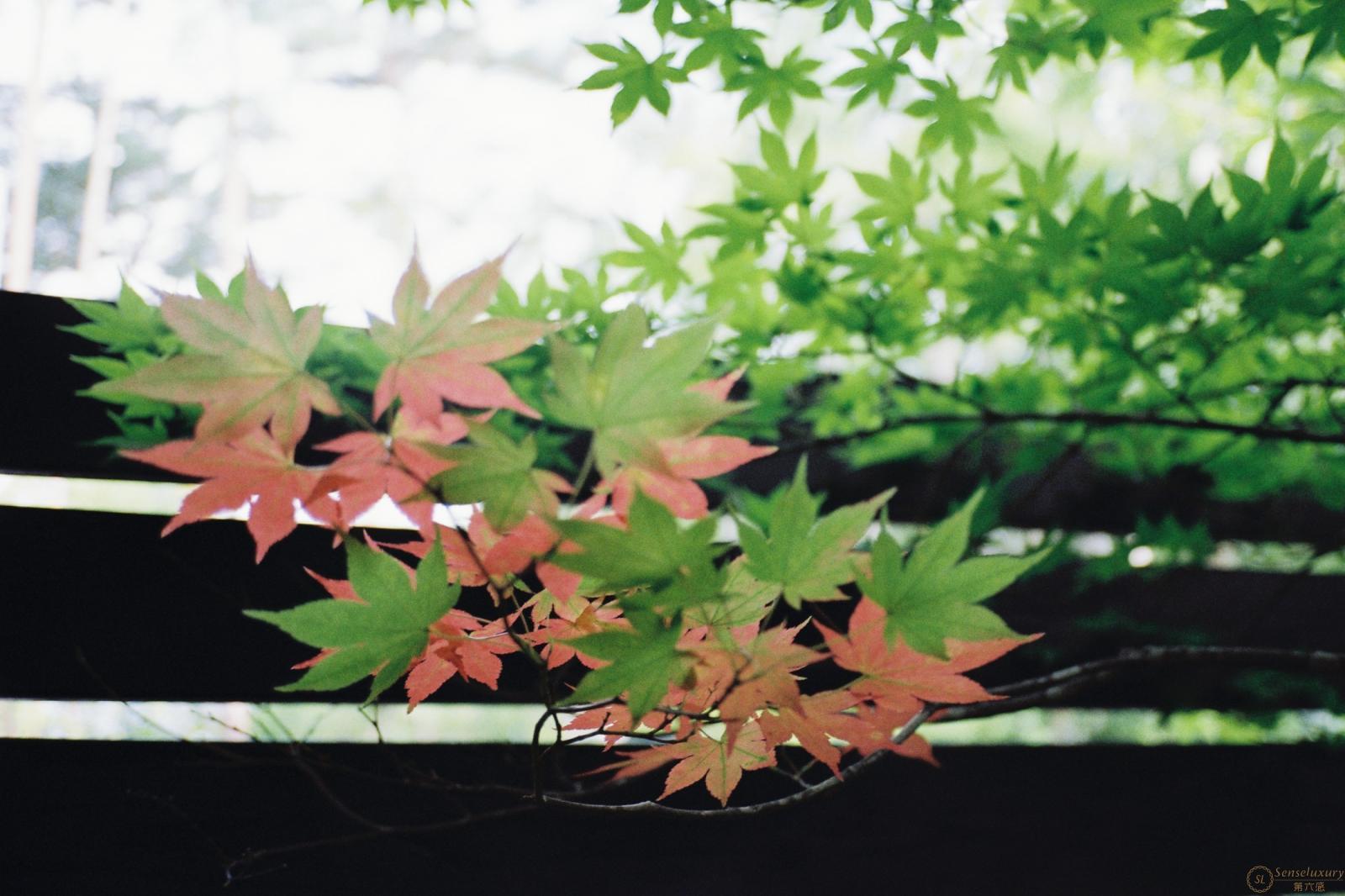 第六感Senseluxury 度假别墅-轻井泽·森四季独栋别墅度假酒店-时别墅-screenshot-9