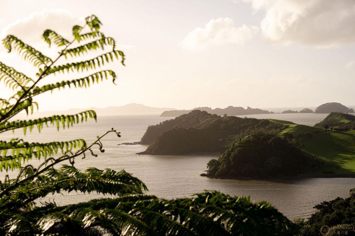 Tarāpunga - Photo 18