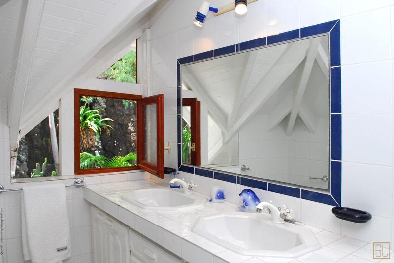 加勒比圣巴托洛缪岛桃心木别墅浴室
