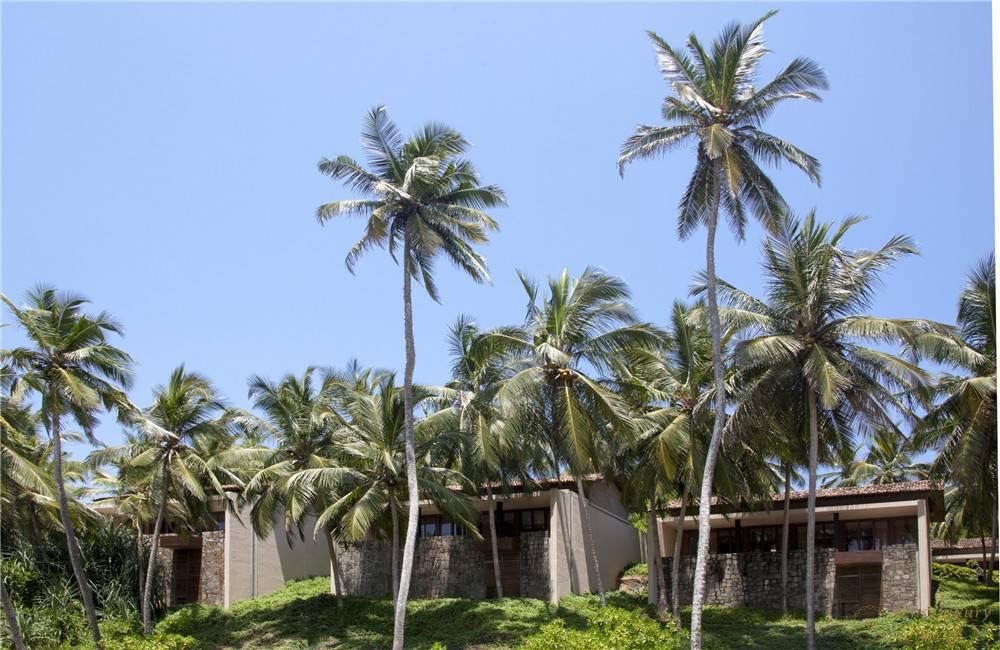 斯里兰卡坦加勒安缦维拉套房树林