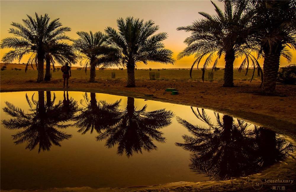 阿联酋迪拜阿玛哈沙漠贝都因别墅套房沙洲