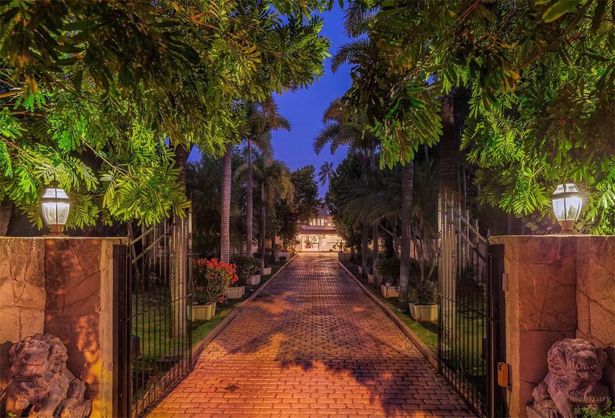 庭院