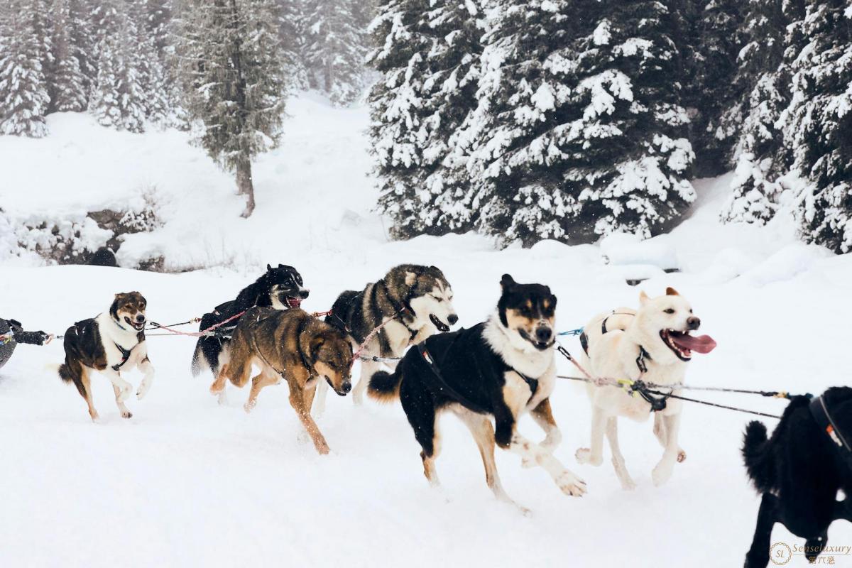 AIRELLES VAL D’ISÈRE - Photo 10